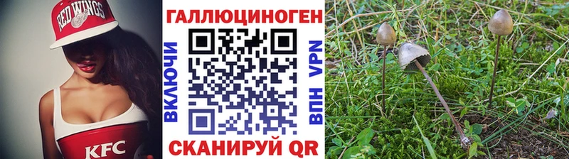 Псилоцибиновые грибы мухоморы  Россошь 