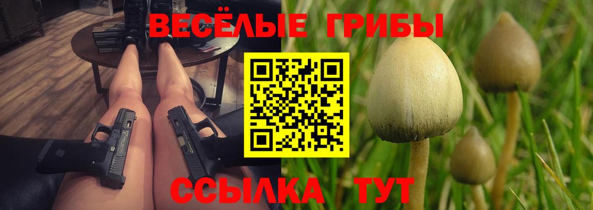 Галлюциногенные грибы Magic Shrooms  Вход с VPN  купить наркотики цена  Россошь 