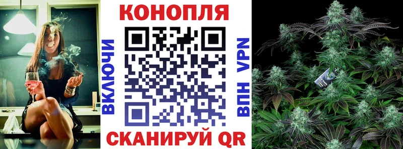 Шишки марихуана план  кракен сайт  Россошь 